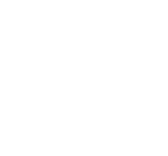 Print Icon